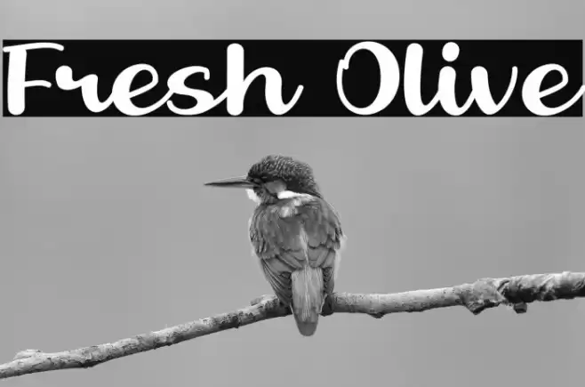 Fresh Olive Font examples