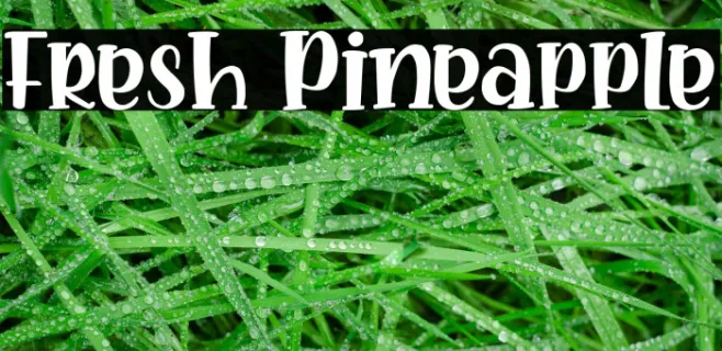 Fresh Pineapple Example 1