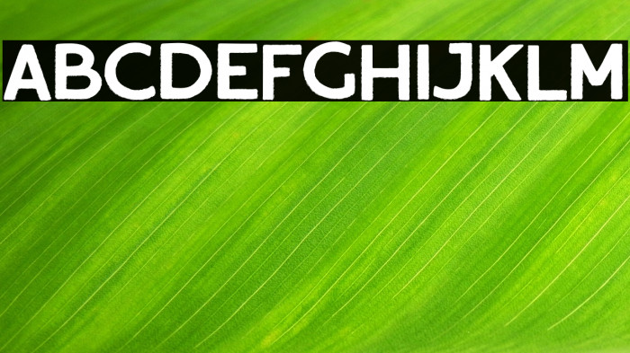 Fresh Produce Example 1