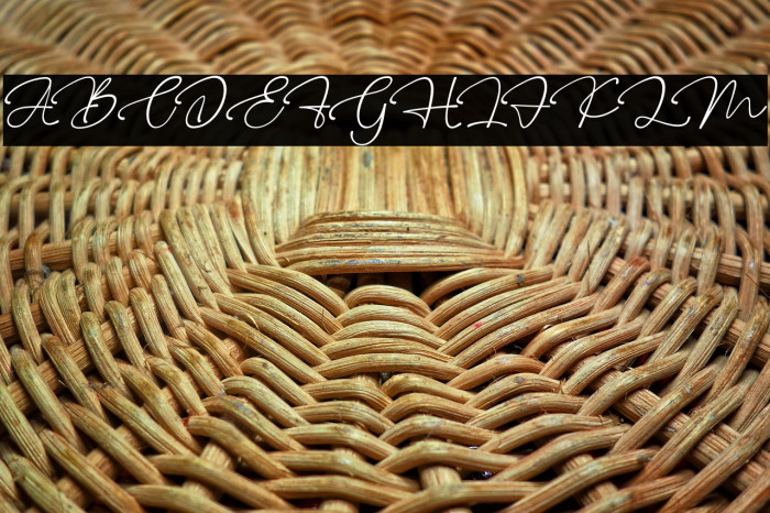 Fresh Roomettes personal use Example 1