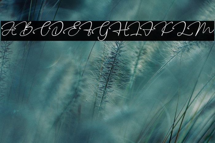 Fresh Roomettes personal use Example 2