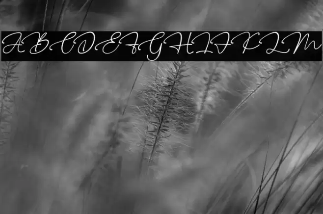 Fresh Roomettes personal use Font examples