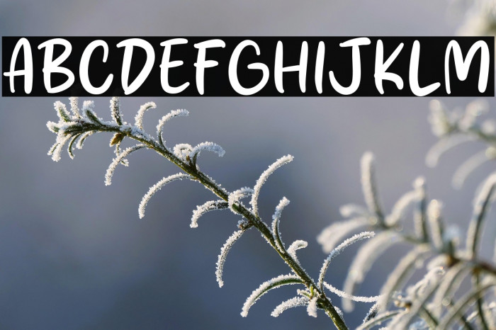 Fresh Season Example 2