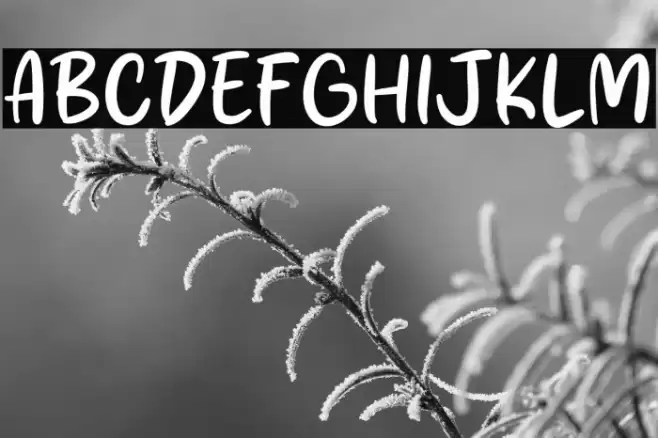 Fresh Season Polices examples