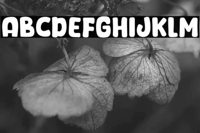 Fresh Steak Font examples