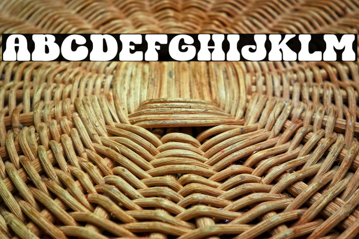 Fresh Tasty Personal Use Example 3