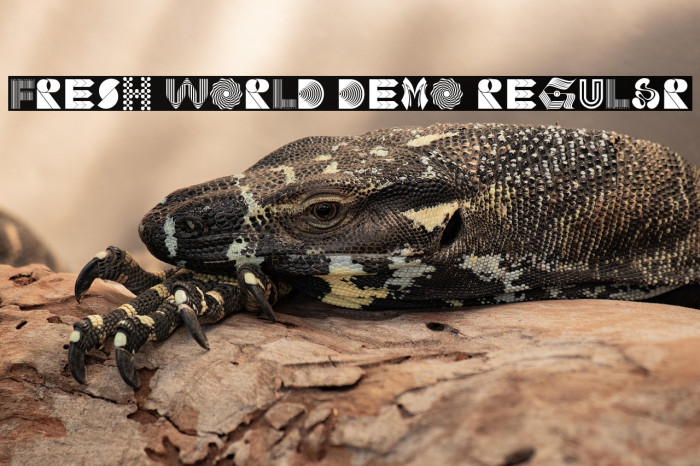 Fresh World Demo Regular Example 3