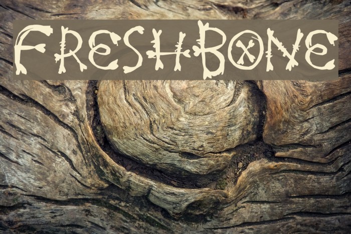 FreshBone Polices examples