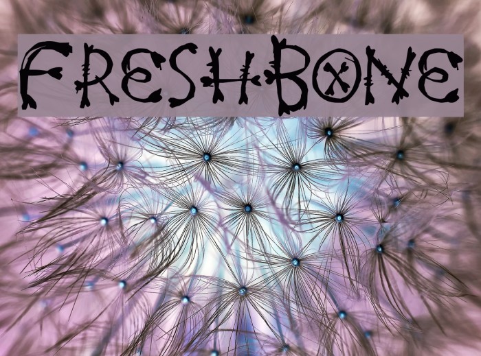 FreshBone Polices examples