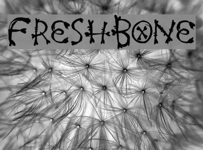 FreshBone Font examples