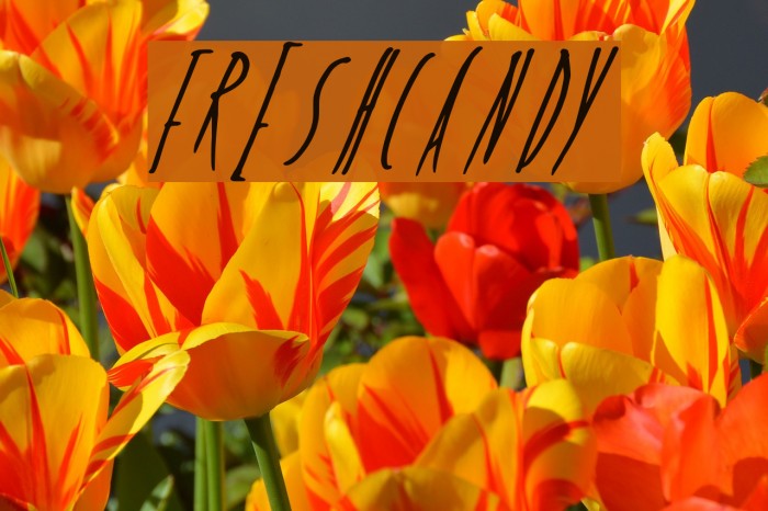 FreshCandy Font examples