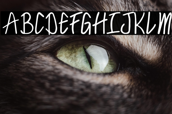 FreshClinnRegular Example 3