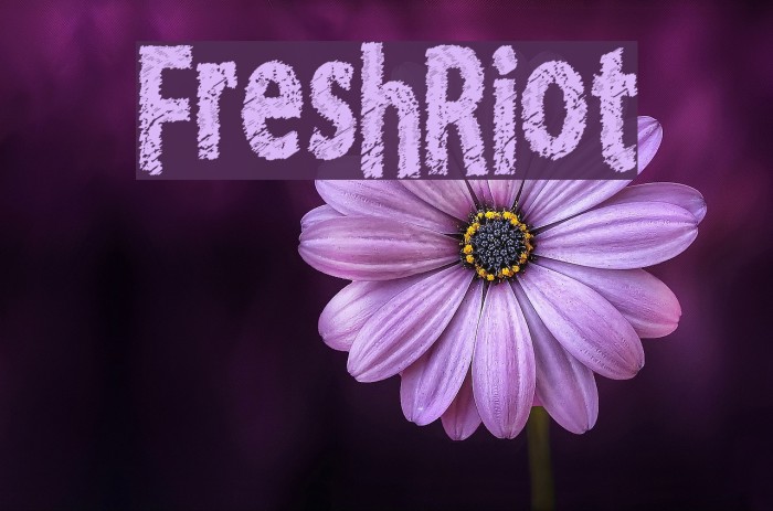 FreshRiot Font examples