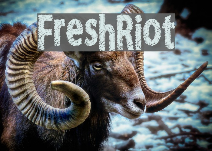 FreshRiot Font examples