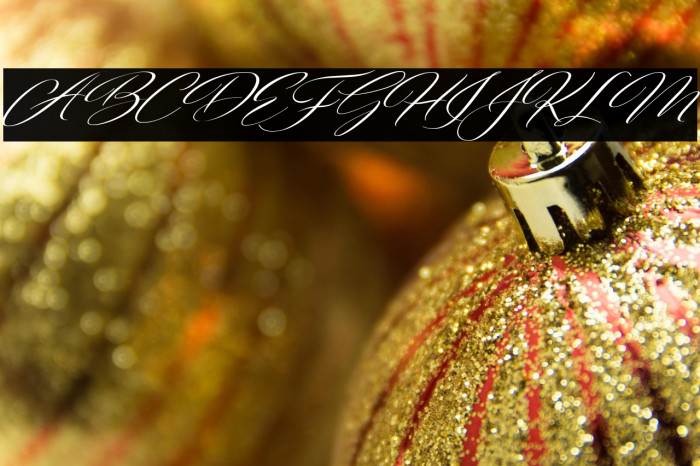 FreshScript Example 3