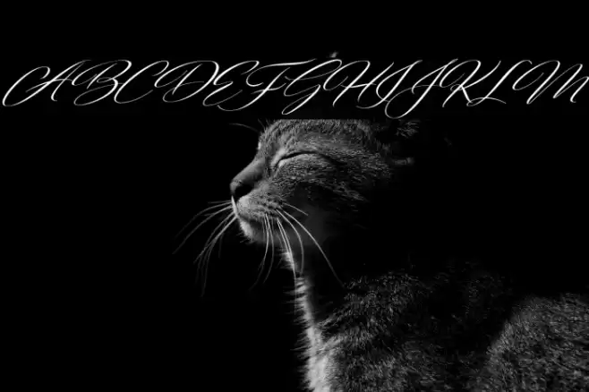 FreshScript Font examples