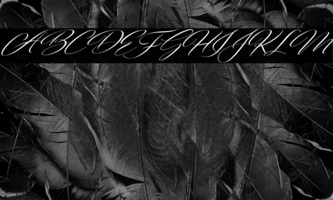 FreshScript Font examples