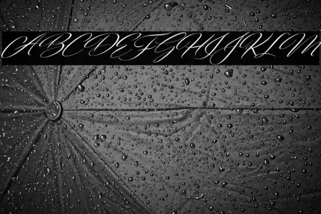 FreshScript Font examples