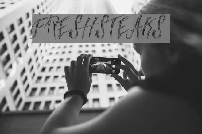 FreshSteaks  examples