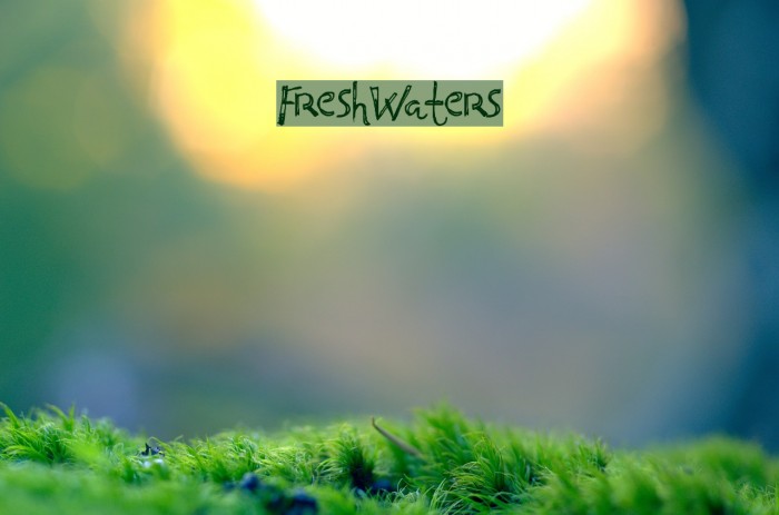 FreshWaters Example 1