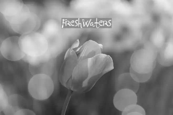 FreshWaters Font examples