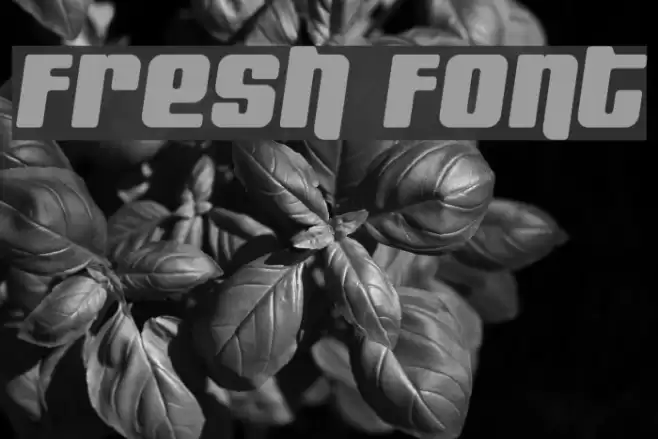 Fresh Font examples