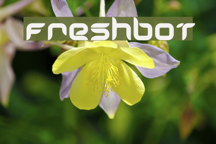 Freshbot Polices examples