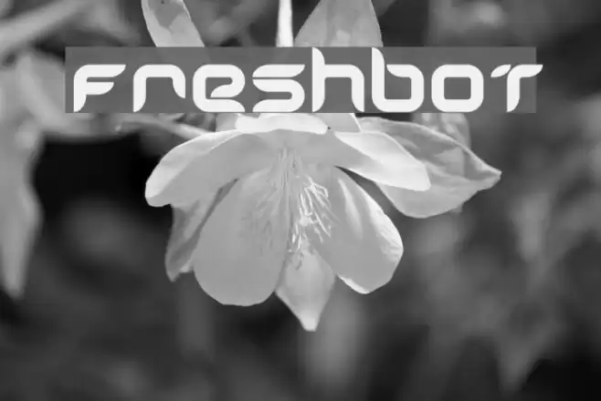 Freshbot Font examples