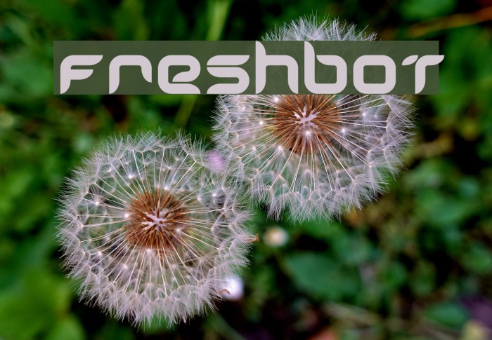 Freshbot Polices examples