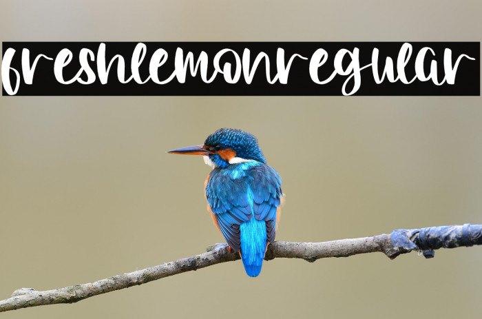 FreshlemonRegular Example 3