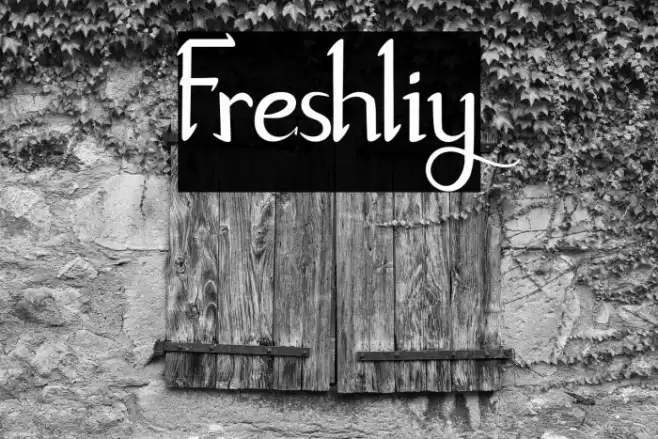 Freshliy Font examples