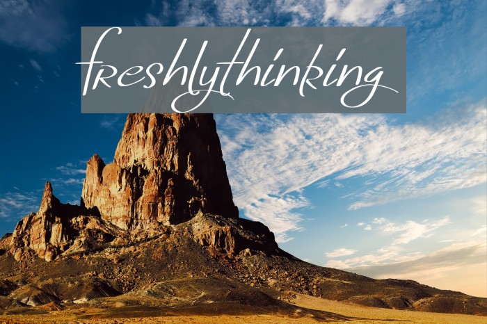 FreshlyThinking Font examples
