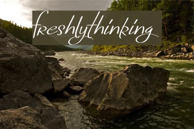 FreshlyThinking Example 2