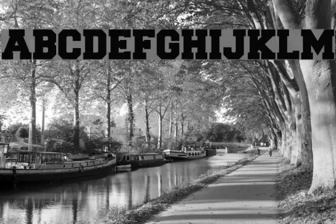 Freshman Font examples