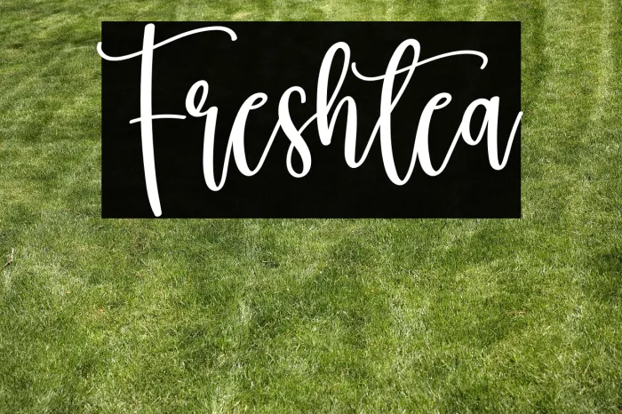 Freshtea Example 1
