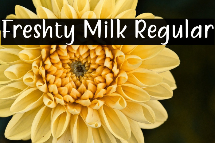 Freshty Milk Regular Example 3