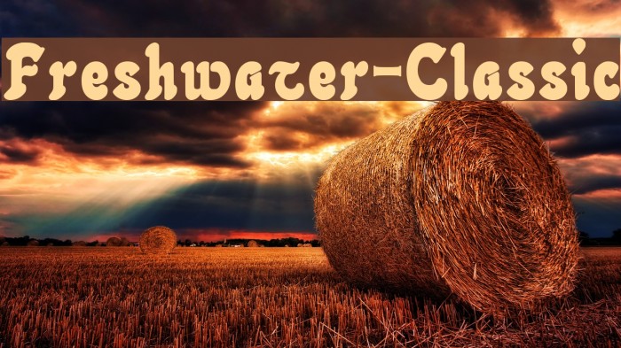 Freshwater-Classic Font examples