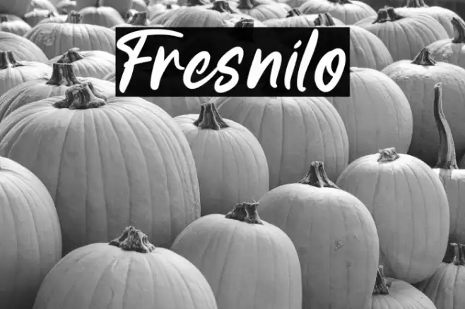 Fresnilo Font examples