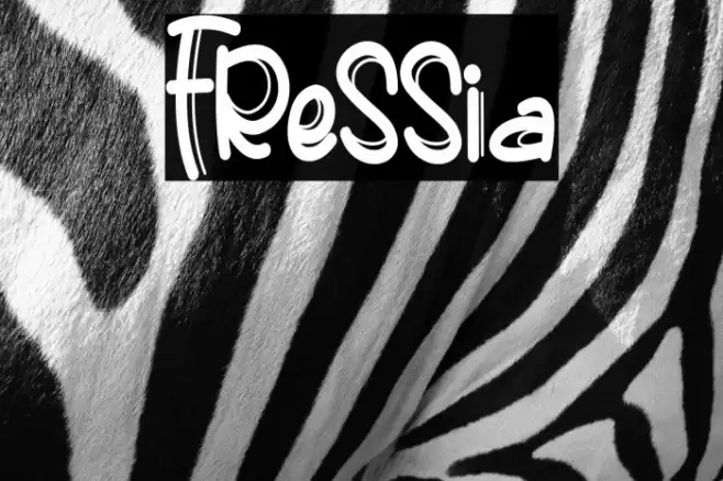 Fressia Font examples