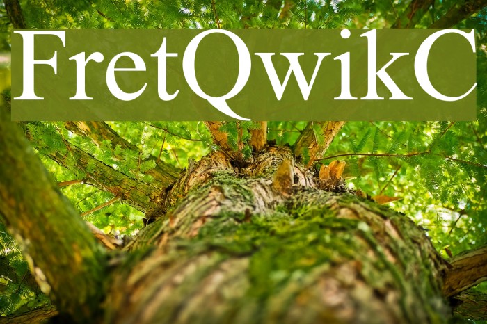 FretQwikC Font examples