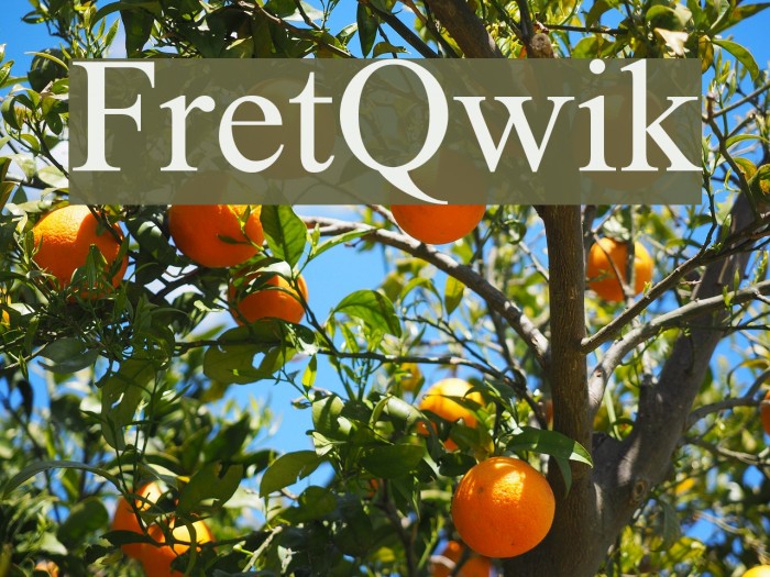 FretQwik Font examples