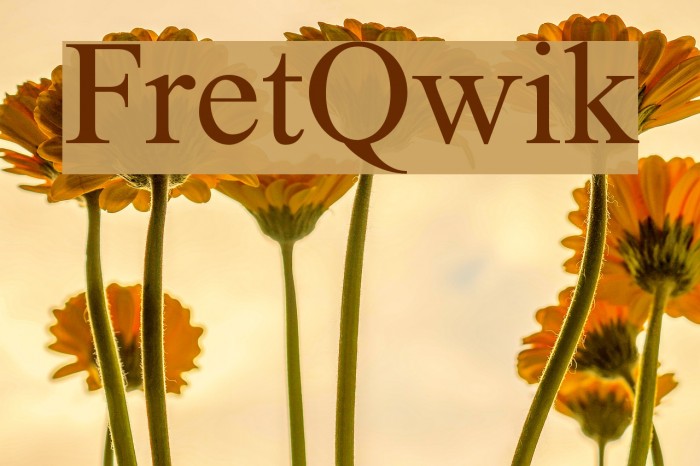 FretQwik Font examples