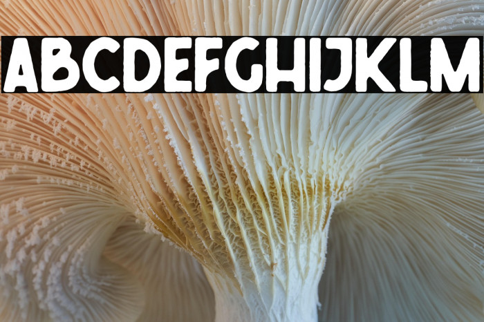 FreudianTwo Example 3