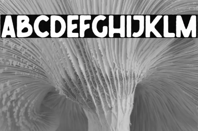 FreudianTwo Font examples