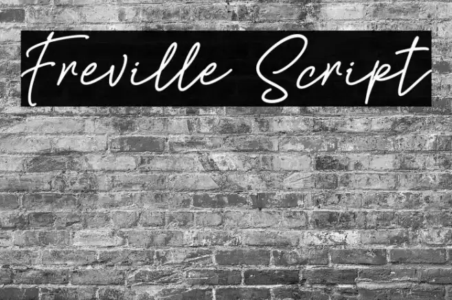 Freville Script Font examples