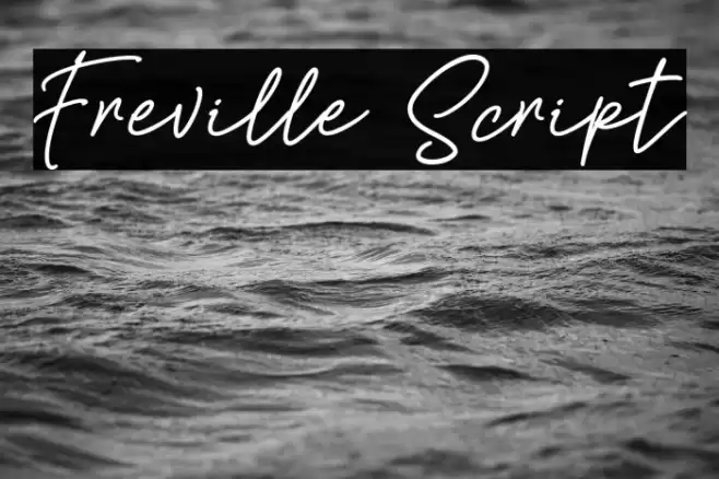 Freville Script Font examples