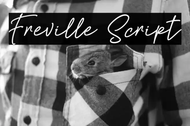 Freville Script Font examples