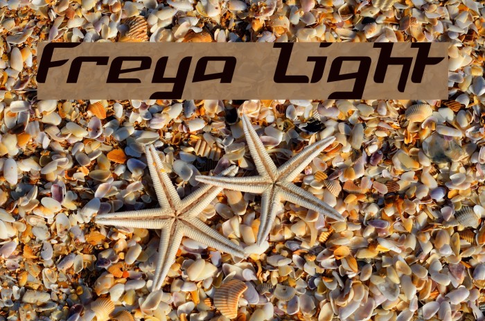 Freya Light Font examples