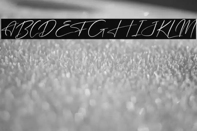 Freyatina Pelgona Font examples