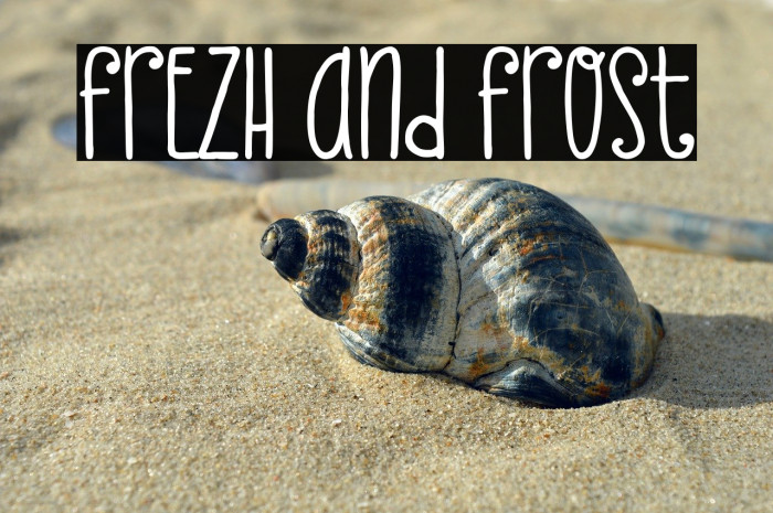 Frezh And Frost Example 1